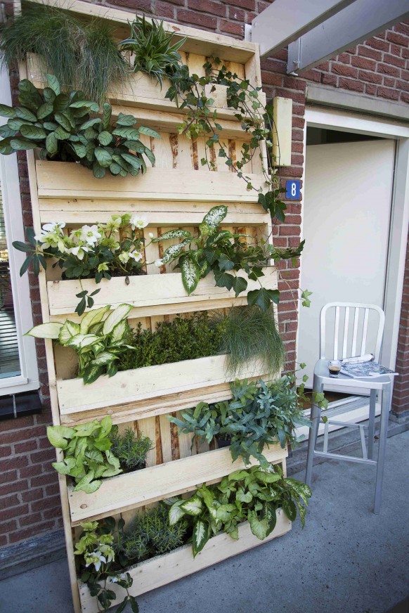 Verticale Pallet Tuin